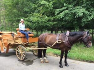 Bryllupskørsel - Vis-a-Vis