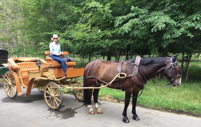 Bryllupskørsel - Vis-a-Vis