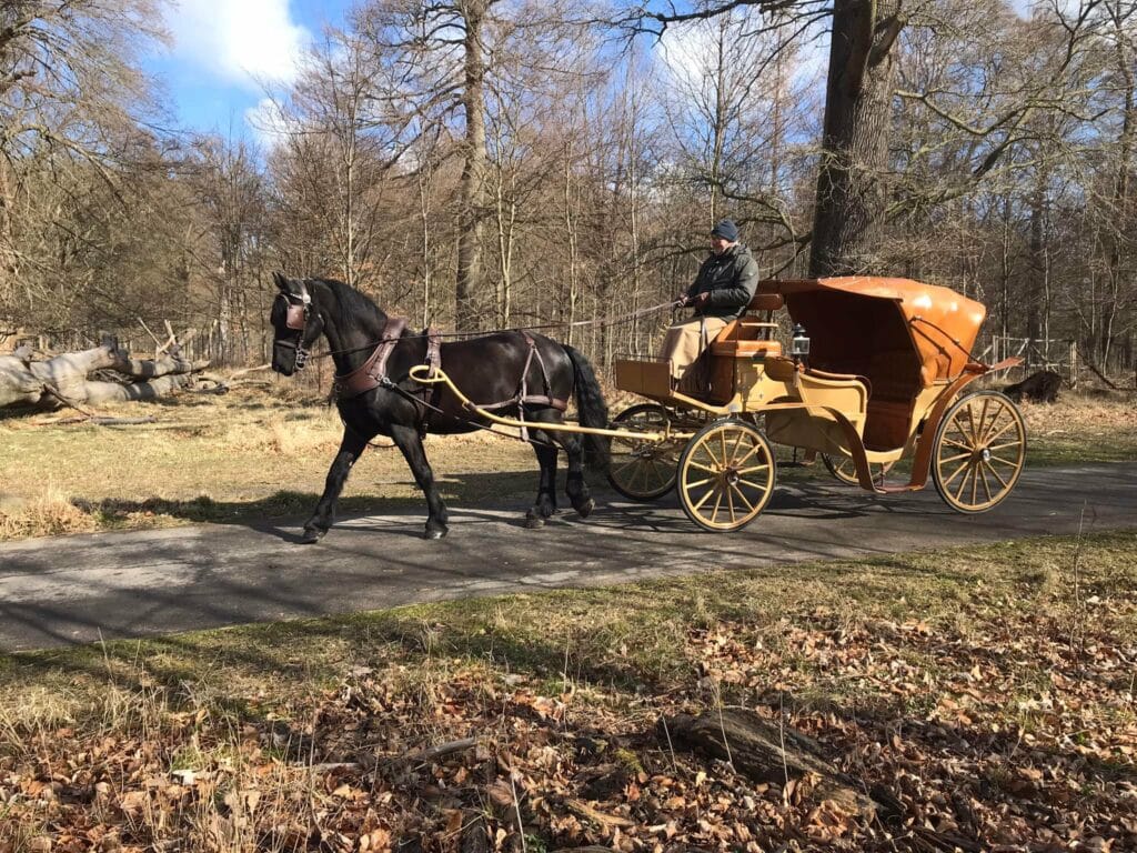 1-spand kaperkørsel i dyrehaven