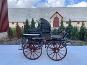 Hestevogn - Maratonvogn 1- og 2- sp. Hest