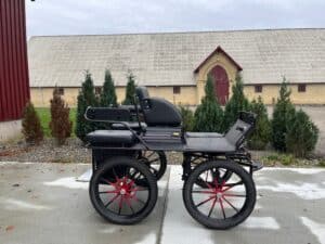 Hestevogn - Glinkowski Træningsvogn 1- sp. Pony I / Hest, 2- sp. Pony I